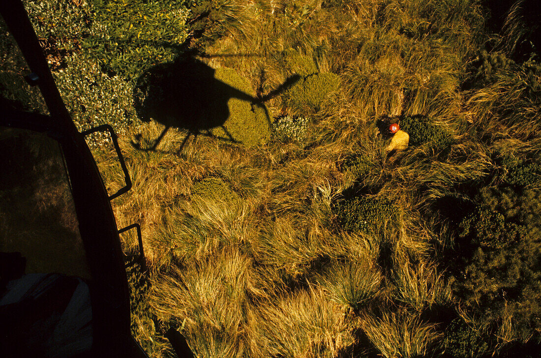 Hirschjagd vom Hubschrauber, Blick vom Hubschrauber auf Vegetation, Fiordland, Südinsel, Neuseeland, Ozeanien