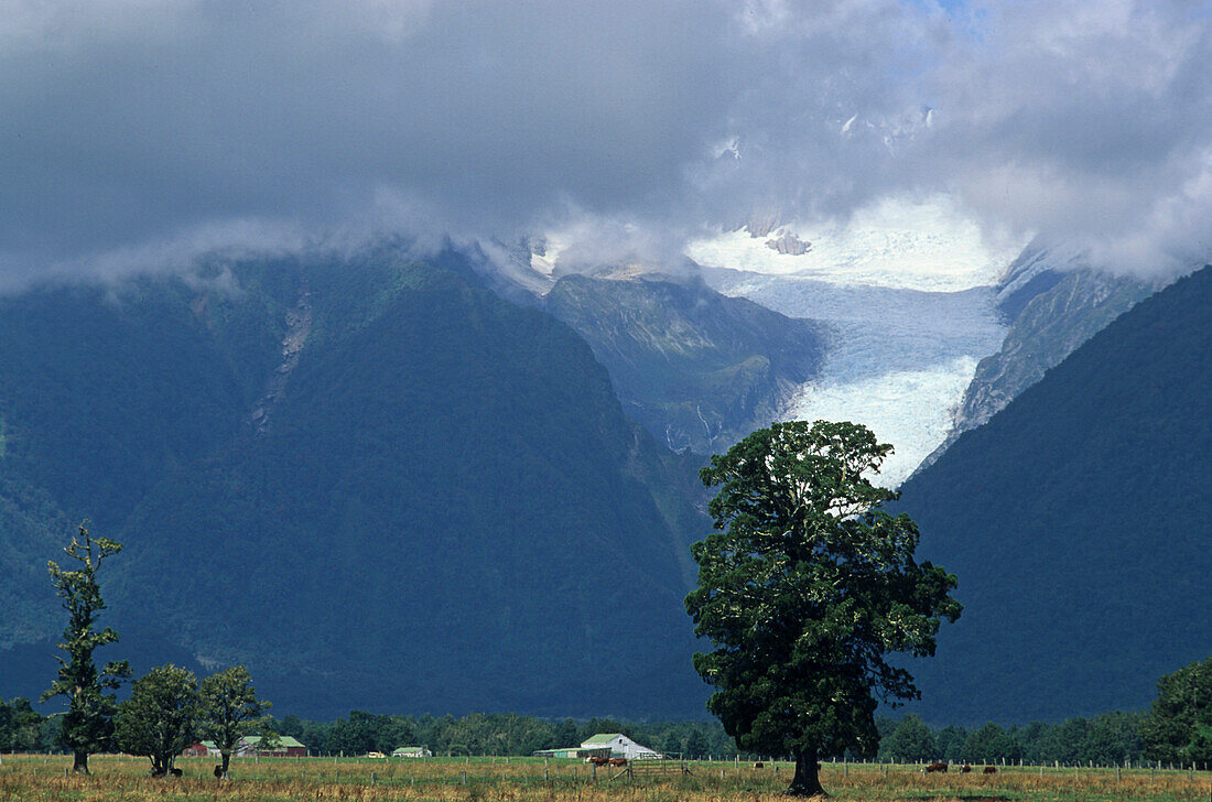 Blick auf den Fox Gletscher unter Wolken, Westland Nationalpark, Südinsel, Neuseeland, Ozeanien