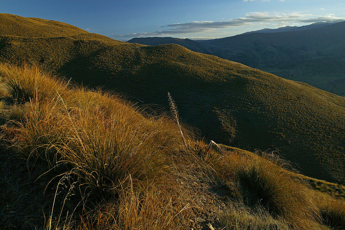 Blick auf Gebirge und Vegetation, Crown Range Road, Central Otago, Südinsel, Neuseeland, Ozeanien