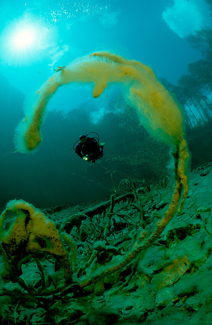 Gebirgs-Quelle, Gebirgssee und Taucher, spring, mo, mountain spring, mountain lake, scuba diver