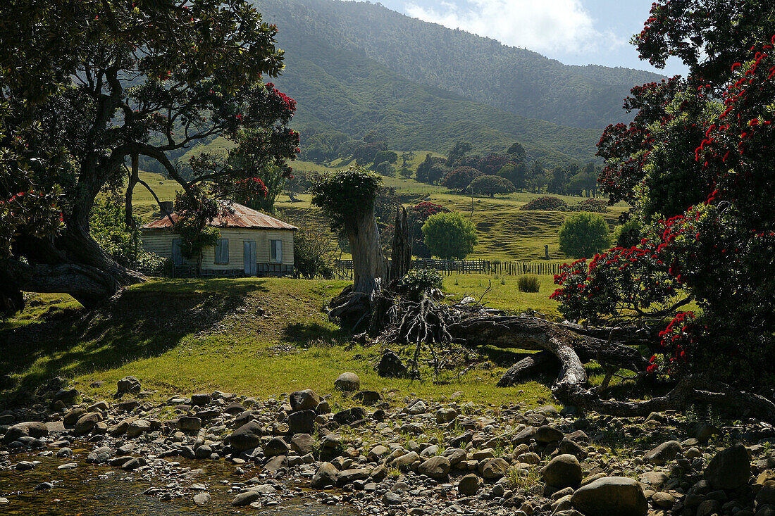 Verlassenes Bauernhaus an der Küste im Sonnenlicht, Coromandel Halbinsel, Pohutukawa Küste, Nordinsel, Neuseeland, Ozeanien