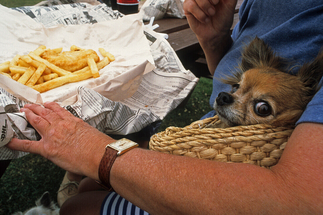 Frau mit Hund isst Fisch und Pommes frites, Coromandel Halbinsel, Nordinsel, Neuseeland, Ozeanien