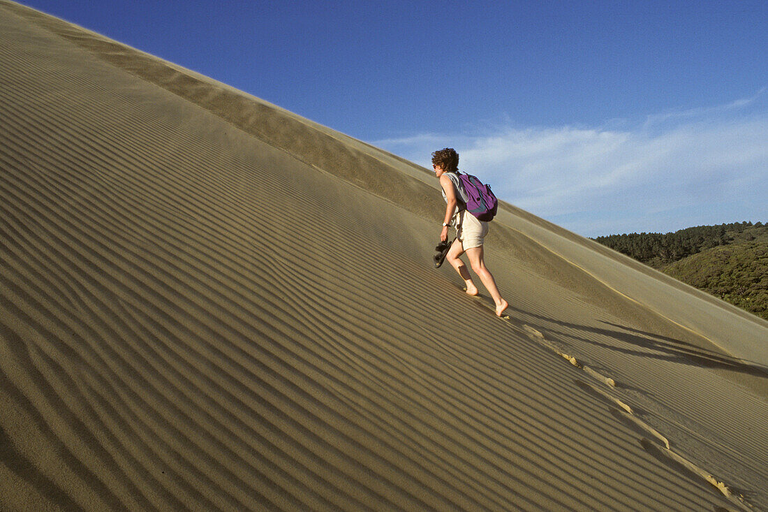 A person on Te Paki sand dune, North Island, New Zealand, Oceania