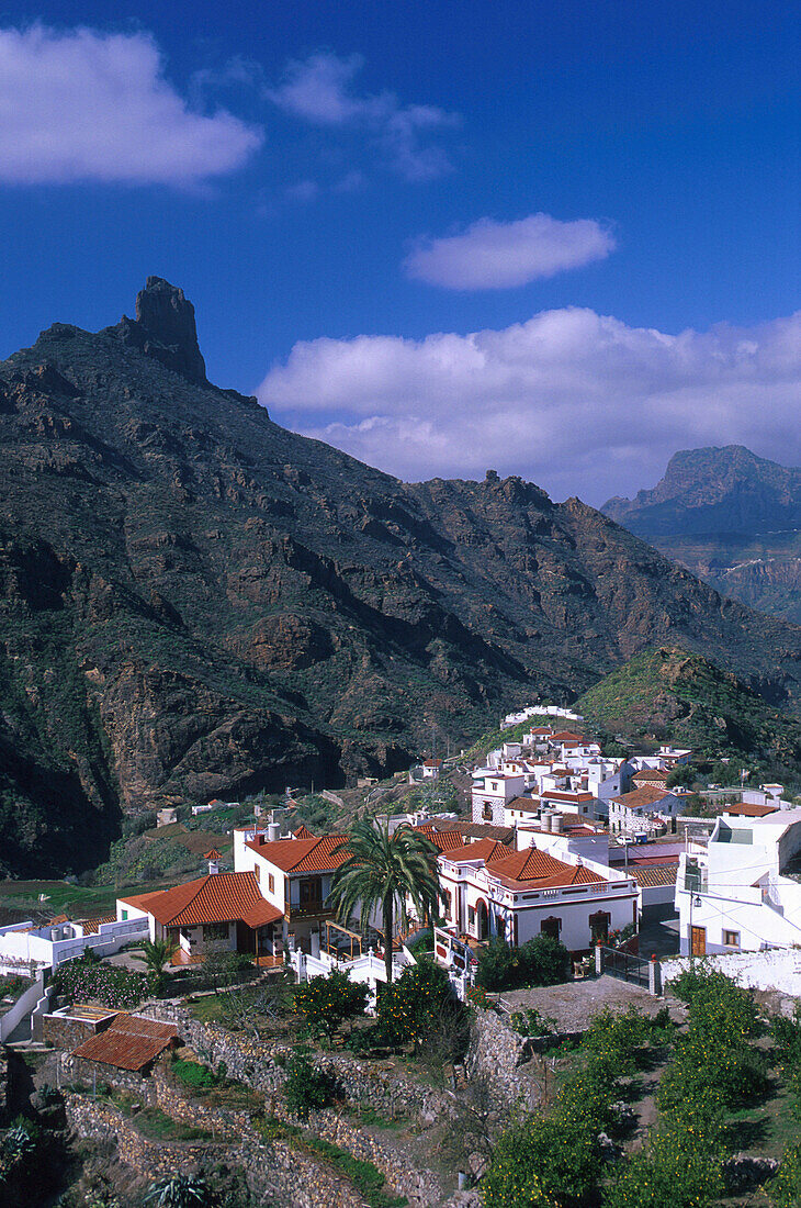 Roque Bentaiga, Tejeda, Gran Canaria, Canary Islands, Spain