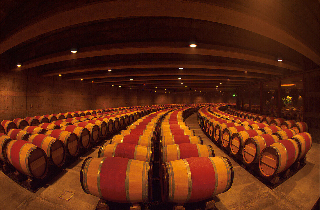 Opus One Weinkellerei, bei Oakville, Napa Valley Kalifornien, USA