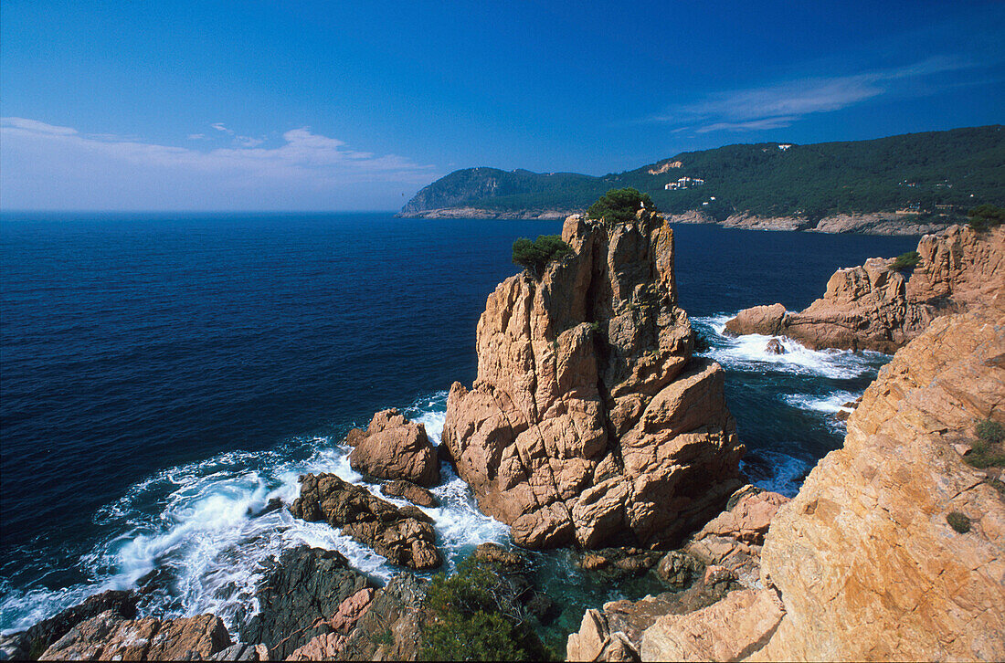 Rocky coast at Aigua Xélida bei Palafrugell, Costa Brava, Provinz Girona, Catalonia, Spain