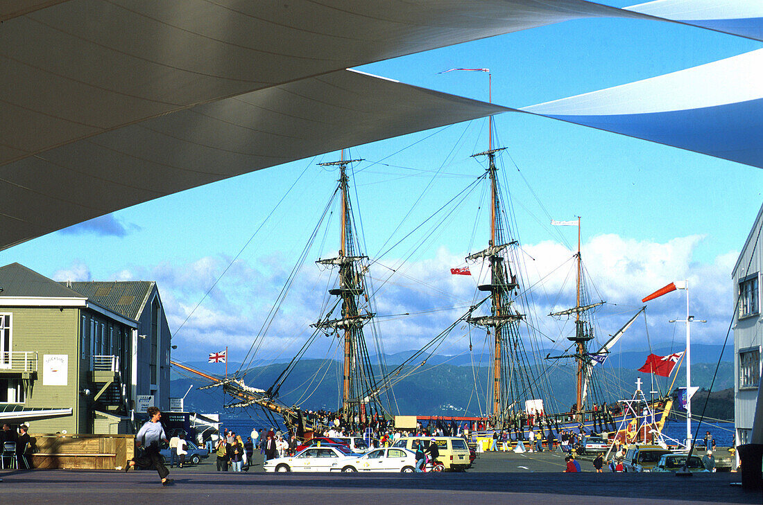 Queens Wharf, Segelschiff Endeavor, Hafen, Wellington Nordinsel, Neuseeland