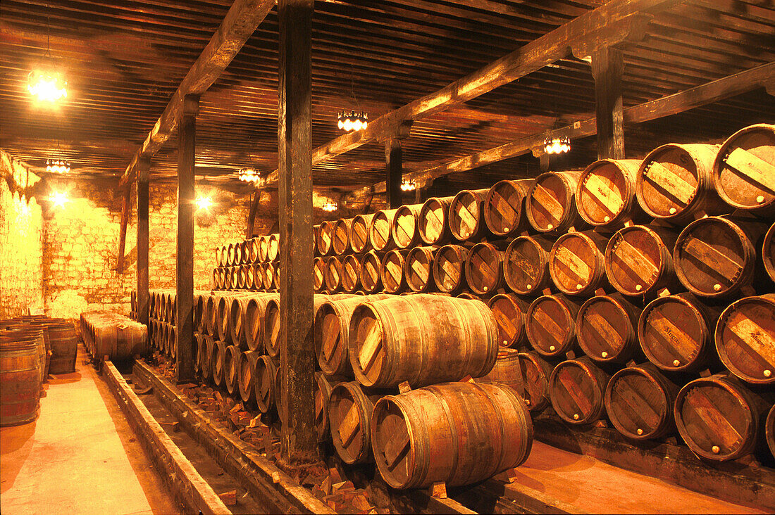 Holzfässer im Weinkeller Bodegas Muga, Weinkeller, Haro, La Rioja, Spanien