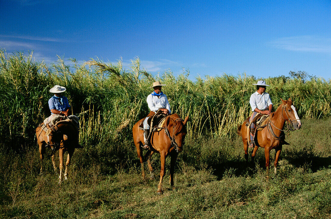 Gauchos, horseback riding, Esteros del Iberá, Corrientes, Argentinien