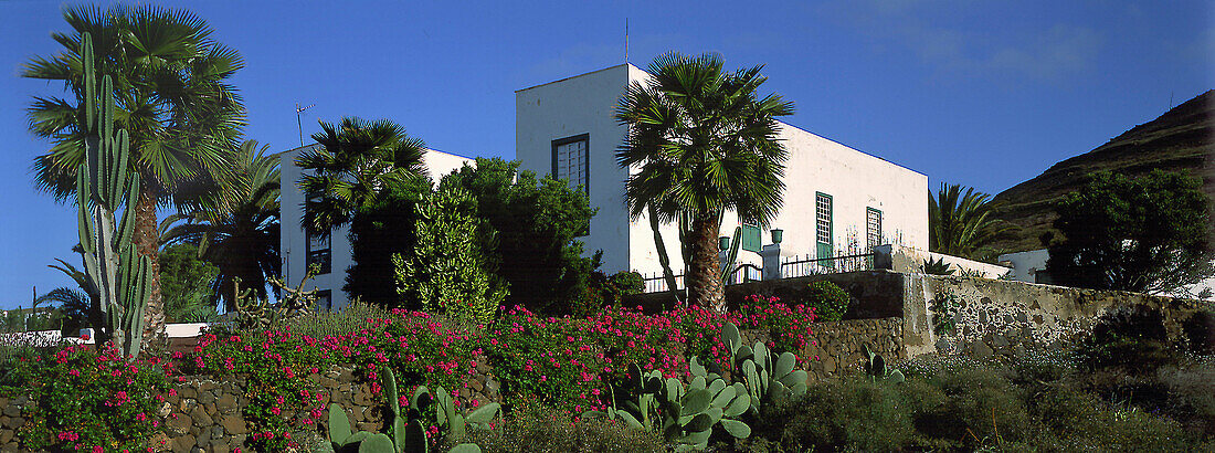 Haus mit Palmen, Yaiza, Lanzarote Kanarische Inseln