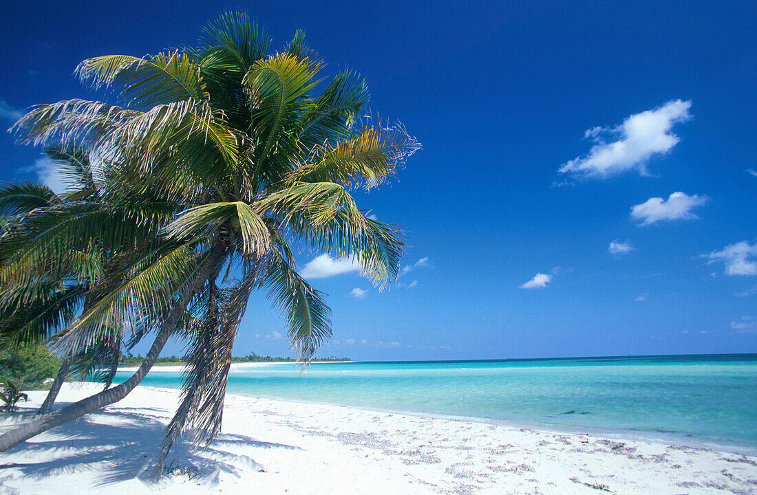 Strand, Karibikkueste, bei Tulum, Quintana Roo Yucatan, Mexiko
