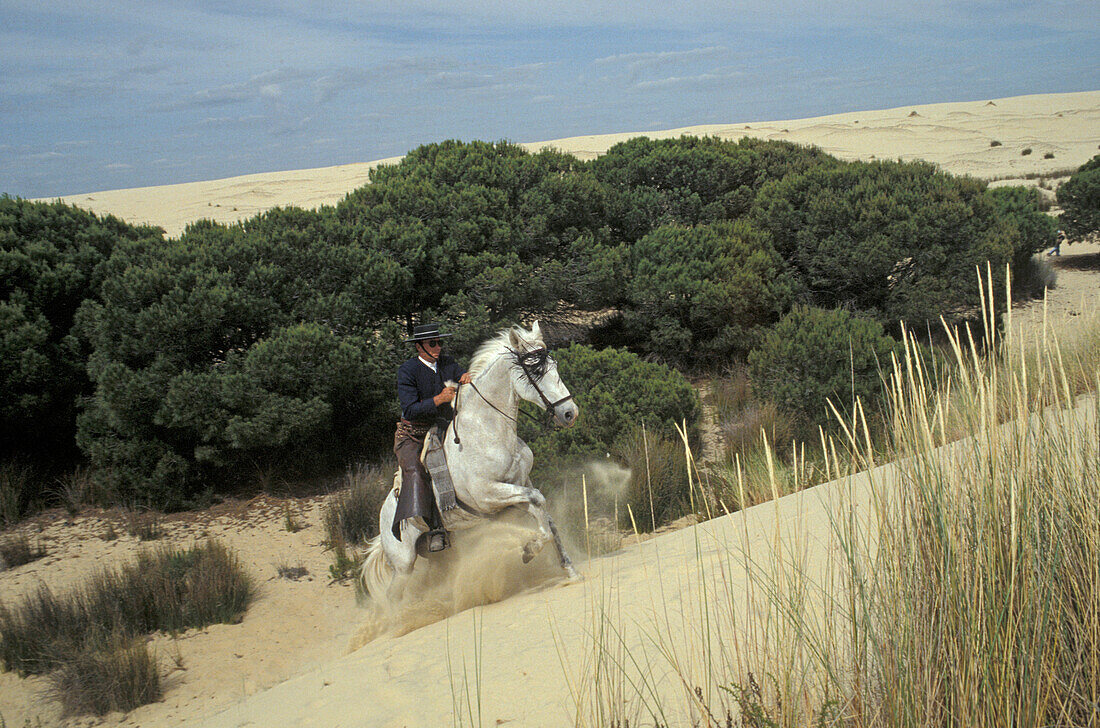 Pilgrim on horseback at national park Donana, Romeria El Rocio, Province of Huelva, Andalusia, Spain, Europe
