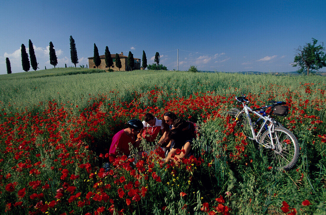 Radfahrer in toskanischer Landschaft, bei Pienza, Toskana Italien