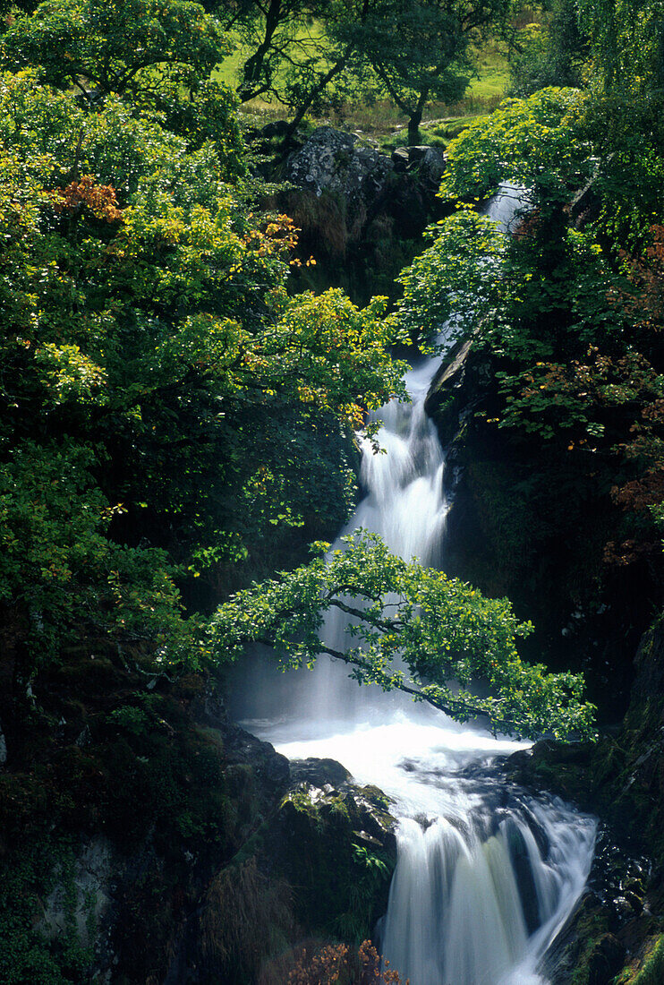 Wasserfall am Llanberis Pass, Nord-Wales Grossbritanien