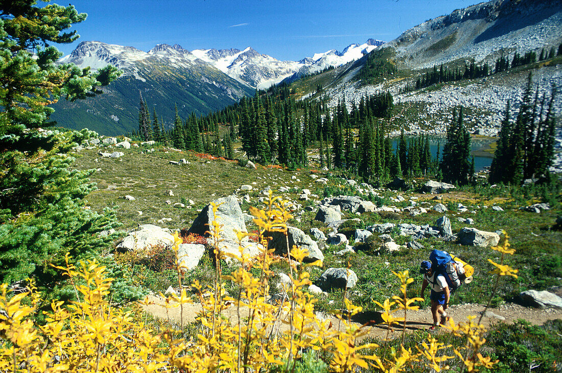 Wanderer, Whistlerregion, British Columbia Kanada