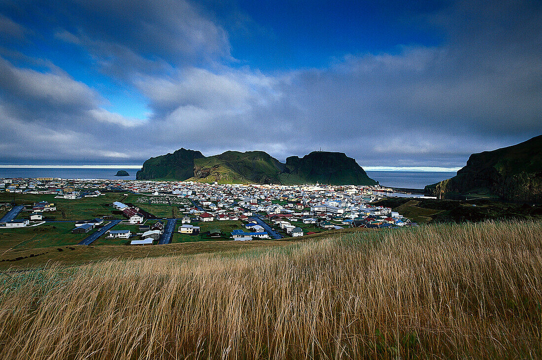 Landschaft mit Blick auf Heimaey, Vestmannaeyjar Inseln, Island