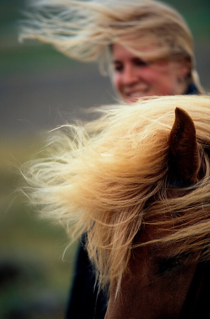 Junge Frau mit Islandpferden, Midfjord Norden, Island