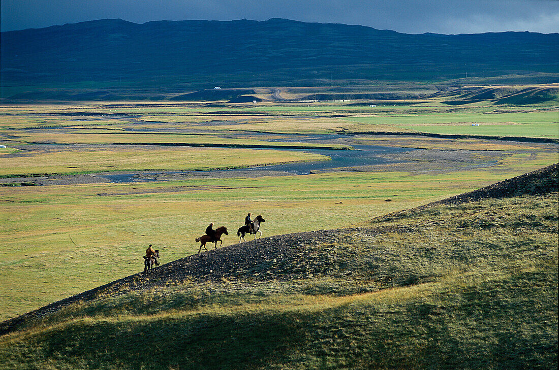 Reiter auf Islandpferden, Midfjord, Norden Island