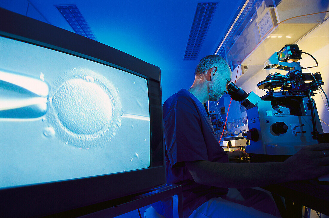 In Vitro-Fertilisation, Prof.Wuerfel, Klinik Dr.Kruesmann Muenchen