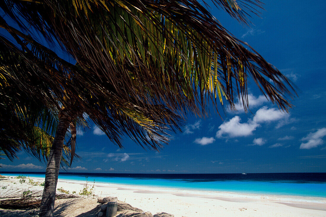 Pink Beach, Bonaire, Niederländische Antillen