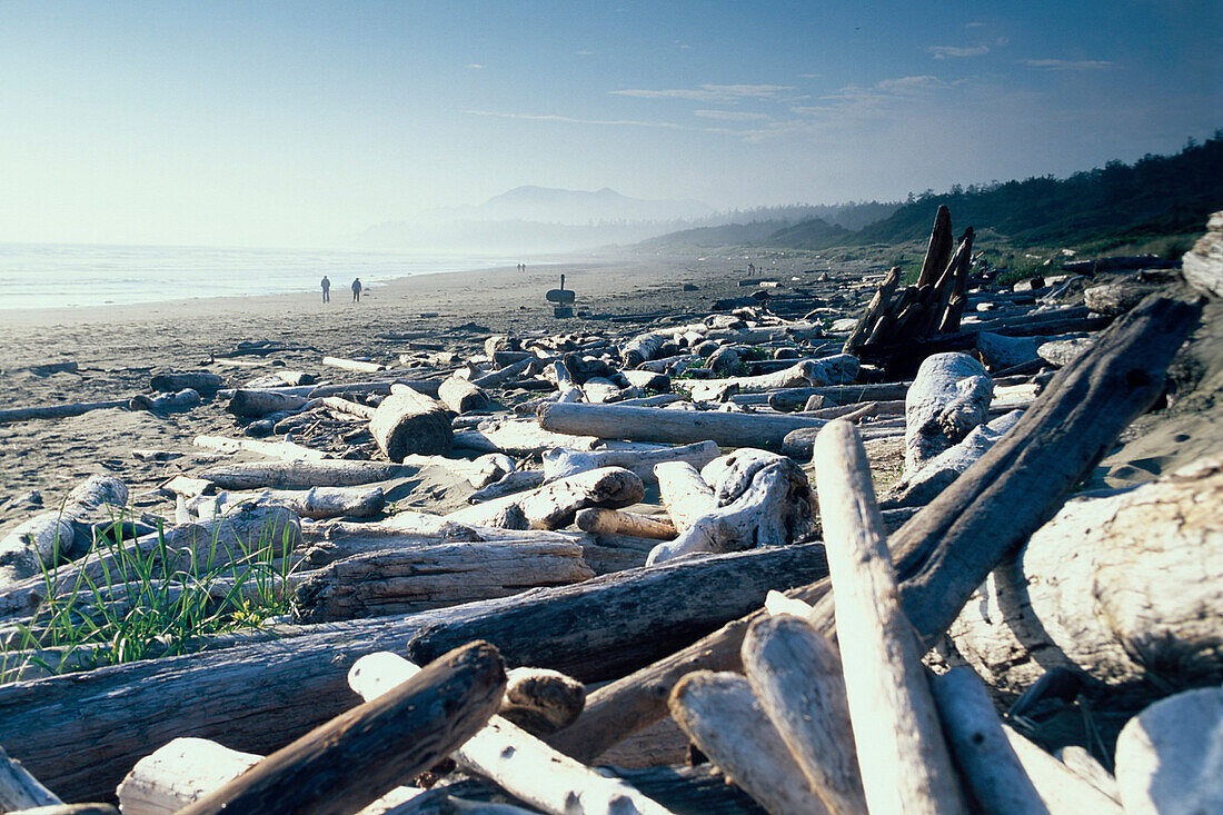 Treibholz, Wickaninnish Beach / Long, Beach, Pacific Rim, Vancouver Island British Columbia, Kanada