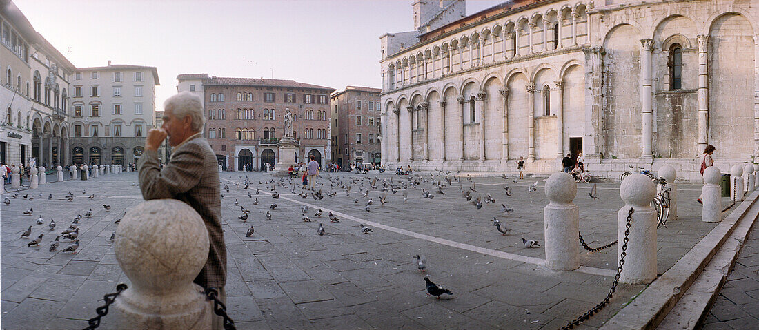 Mann und Tauben auf Platz in Lucca, Toscana, Italien