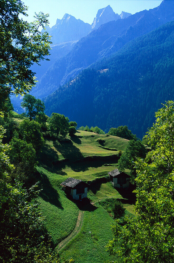 Bergsommer in Soglio, Bergell, Grisons, Schweiz
