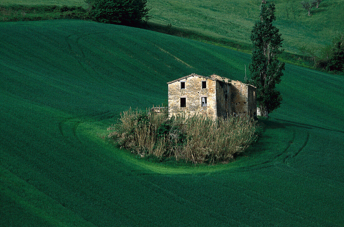 Farmhouse, St. Andrea, Italy