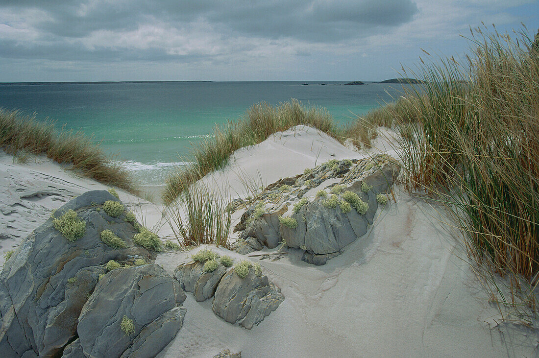 Dunes at Penguin Walk near Port Stanley, Falkland Islands, South America