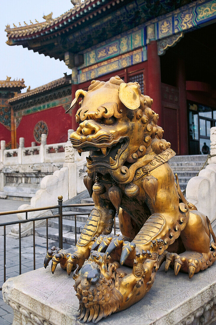 Goldener Bronze-Löwe am Tor der Reinheit, Verbotene Stadt Beijing, China