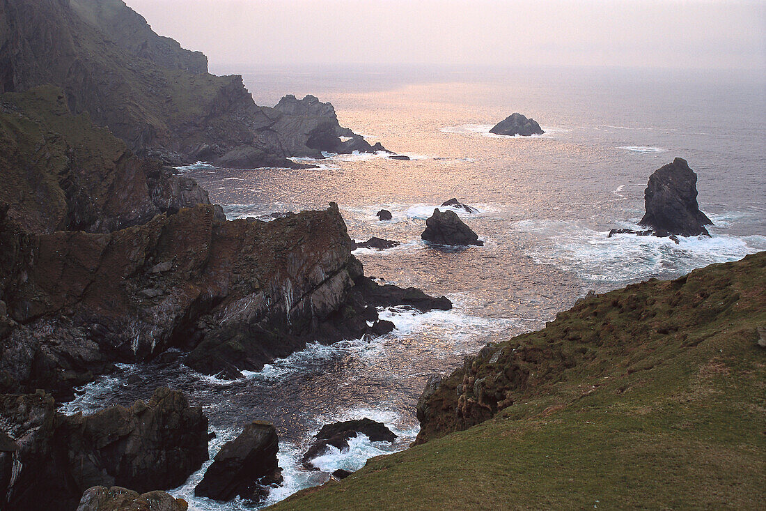 Rocky coast in the evening, Hermanness, northern point, Unst, Shetland Islands, Scotland, Great Britain