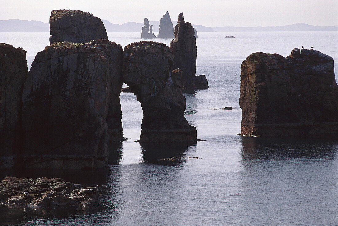 Felsformation, Esha Ness, Mainland, Orkney Inseln, Schottland, Großbritannien
