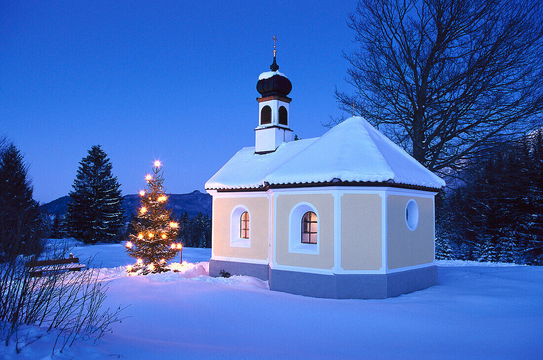 Chapel and christmas tree in winter, Upper Bavaria, Germany