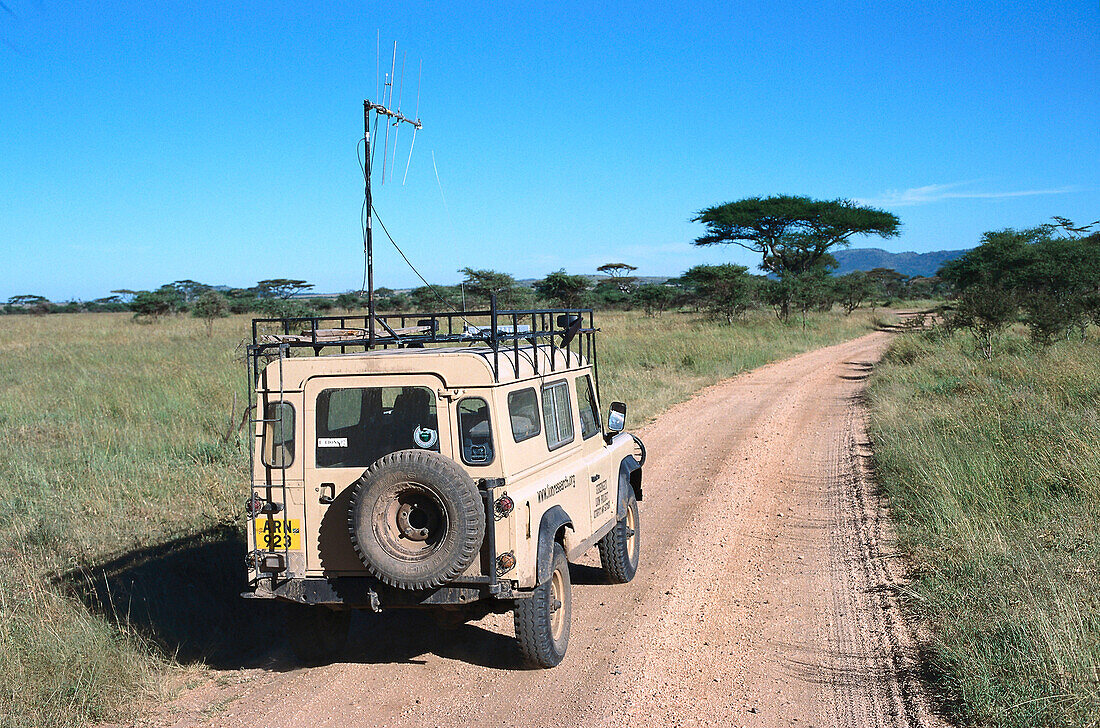 Serengeti Lions Research Project, Jeep , Serengeti NP Tansania