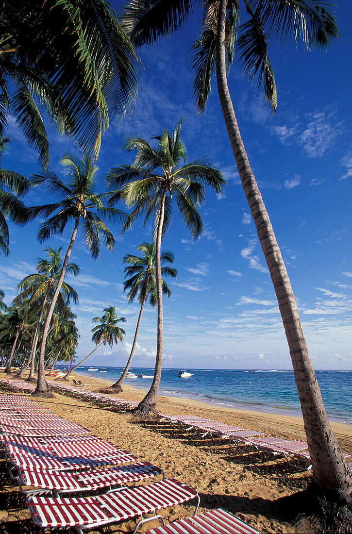 Cacao Beach, Las Terrenas,  Dominican Republic, Caribbean