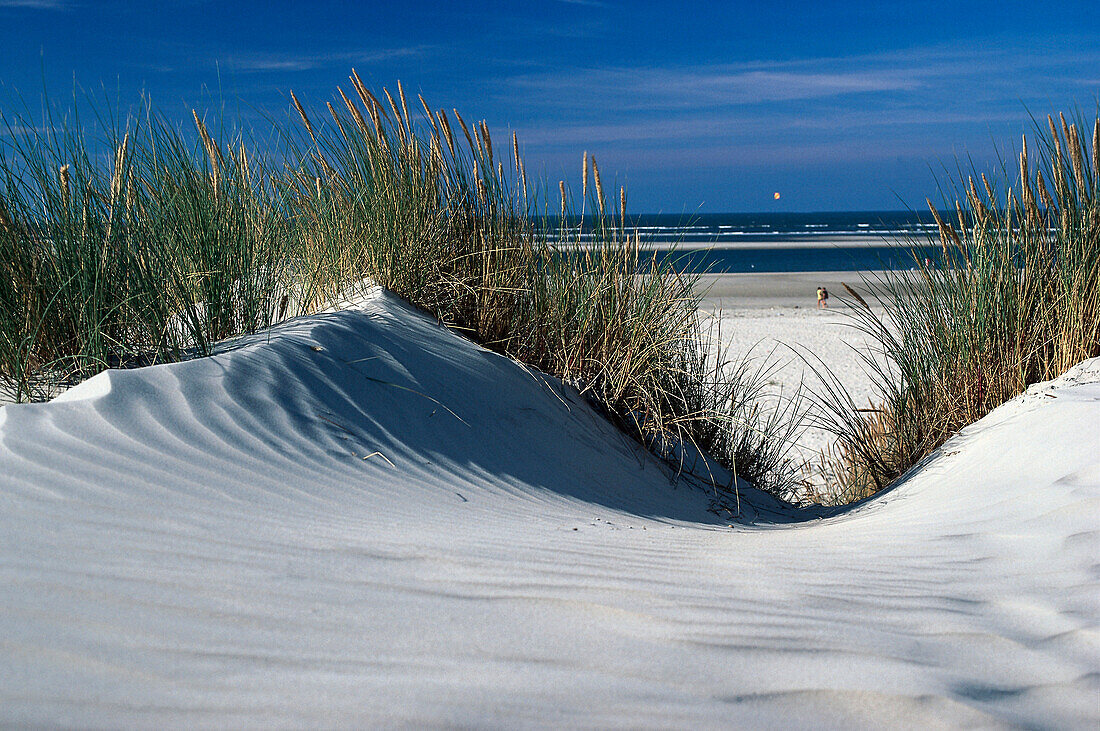 Dunes, Baltrum, East Frisia, Lower Saxony, Germany
