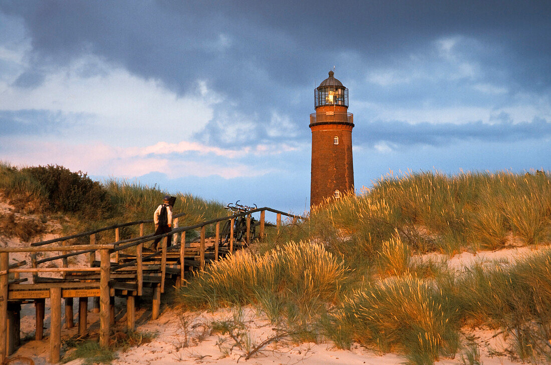 Lighthouse in the evening light, Darss, Mecklenburg-Vorpommern, Germany