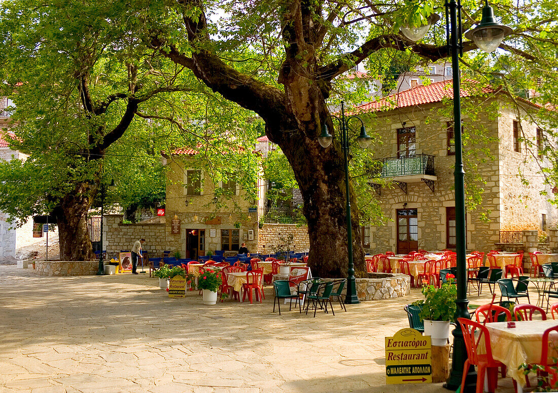 Restaurant, Taverne unter einem alten Baum, Kosmas, Peloponnes, Griechenland
