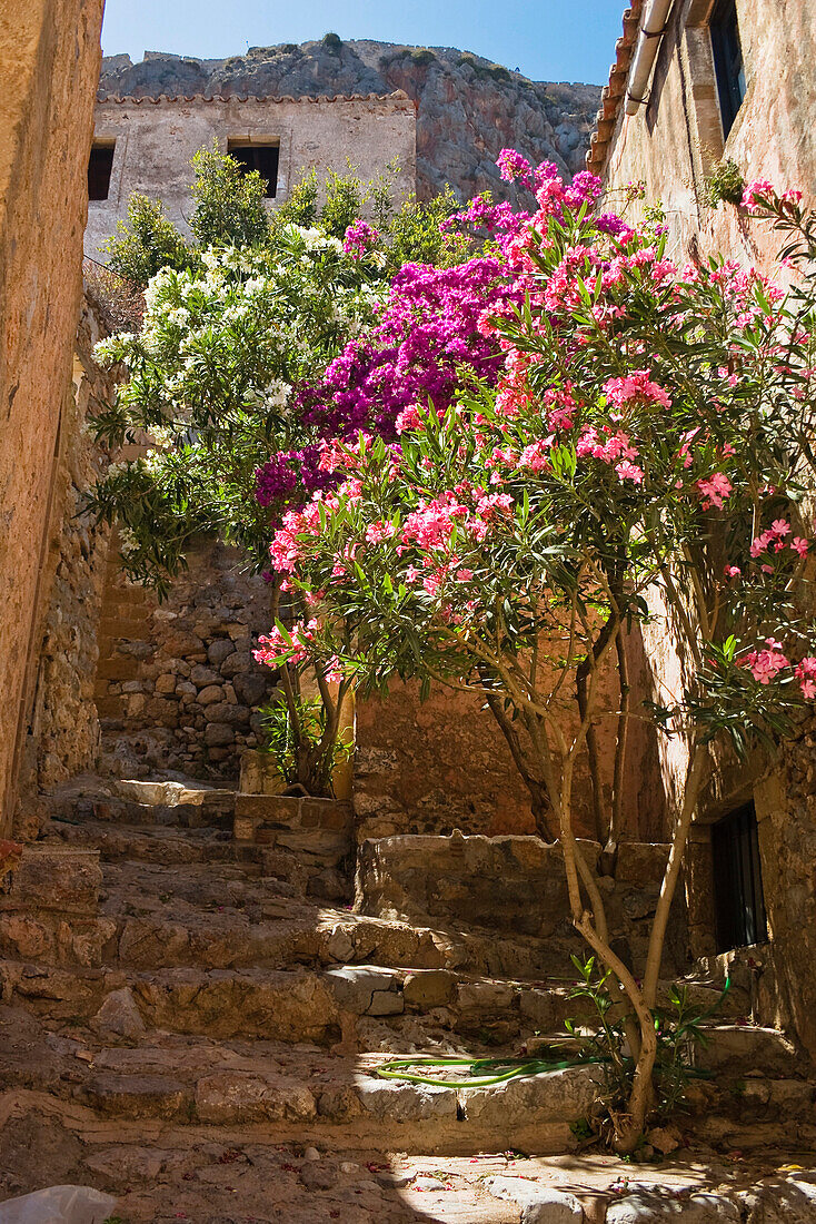 Straße mit Blumen, Monemvasia, Lakonia, Peloponnes, Griechenland