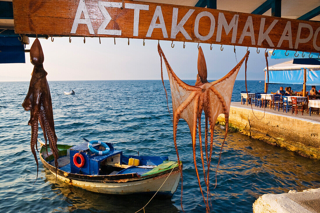 Aufgehängter Oktopus, Hafen von Koroni, Peloponnes, Griechenland