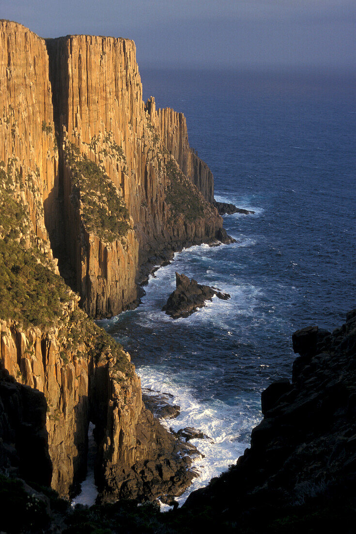 Cape Raoul, dolomite sea cliffs, some of the highest seacliffs in Australia, Cape Raou, Tasman Sea, Tasmania, Australia
