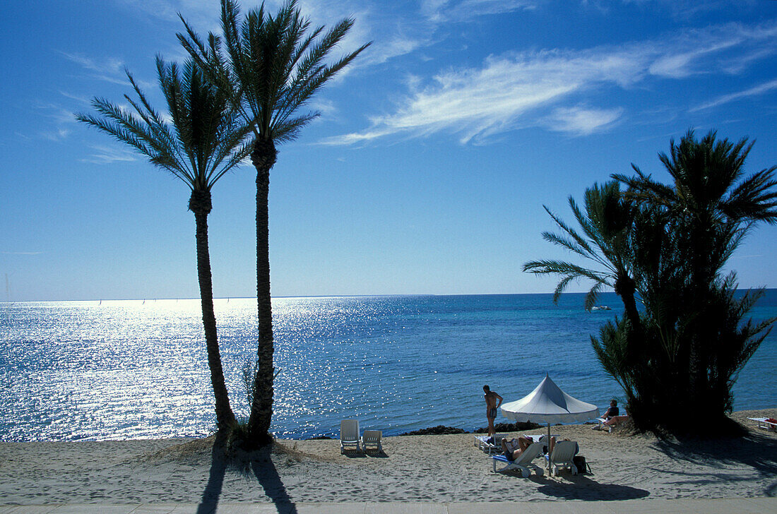 Beach with palms, Djerba, Tunis