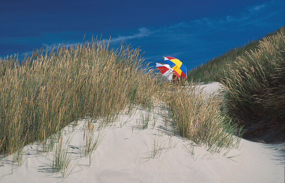 Sonnenschirme in den Dünen, Nordseeküste, Niedersachsen, Deutschland