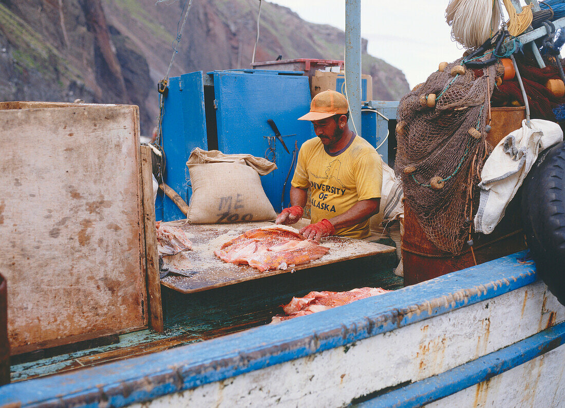 Fischer salzt frisch gefangenen Fisch ein, Galapagos, Ecquador