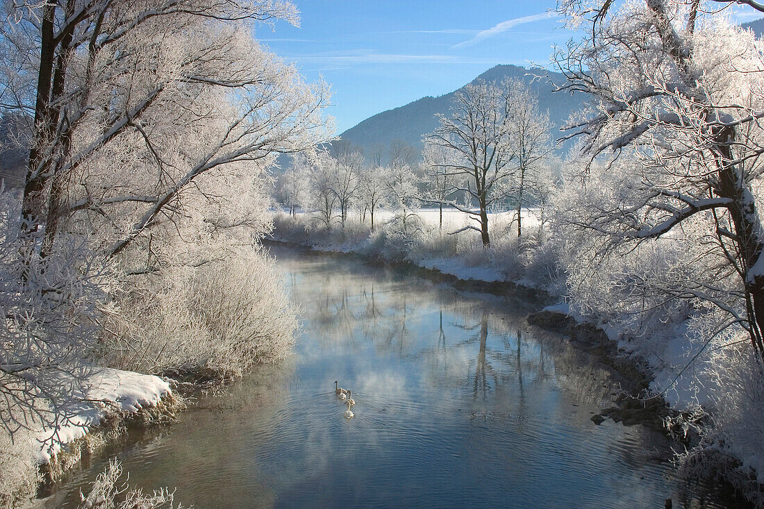 Winterlandschaft entlang der Loisach, Oberbayern, Bayern, Deutschland