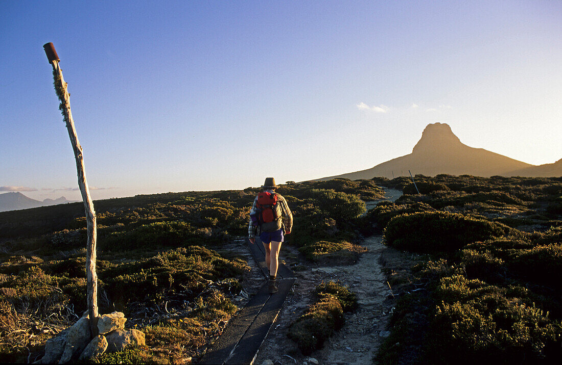 walking towards Barn Bluff on the Overland Track, Cradle Mountain National Park, Tasmania, Australia