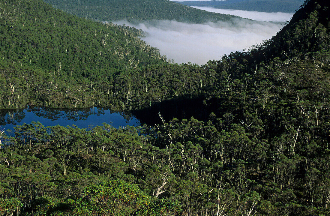 Mountain Lake, Cradle Mountain N P, Australia, Tasmania, Cradle Mountain National Park, idyllic mountain lake amongst forest, on the Overland Track