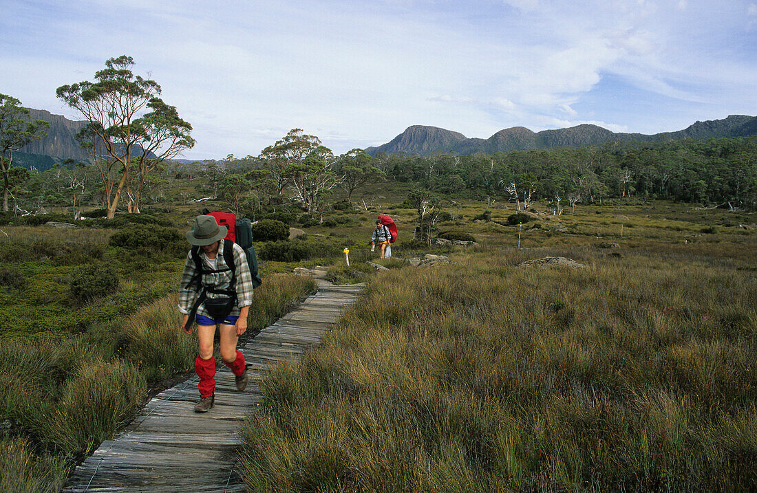 Zwei Wanderer gehen gehen 85km Overland Track entlang, Cradle Mountain Nationalpark, Overland Track, Cradle-Mountain-Lake-St.-Clair-Nationalpark, Tasmanien, Australien