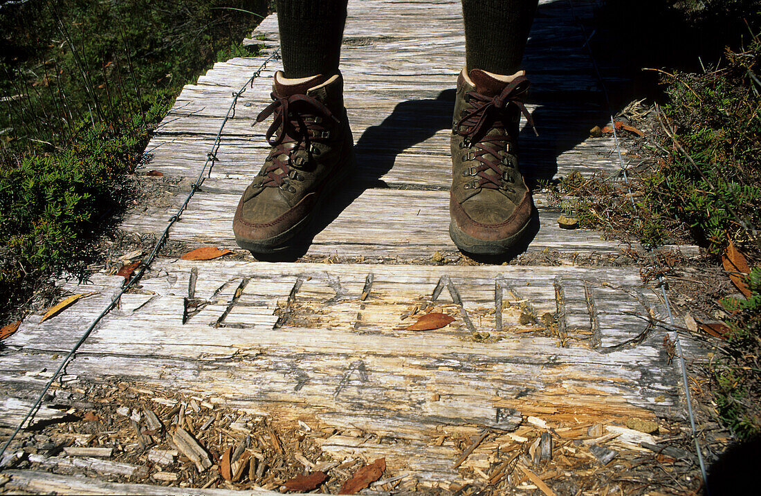 Hiking boots, Cradle Mountain National Park, Overland Track, Cradle Mountain-Lake St Clair National Park, Tasmania, Australia