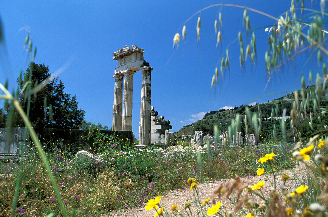 Tholos temple im Heiligtum der Athena Pronaia, Delphi, Peloponnes, Griechenland